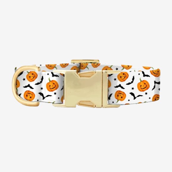 Halloween Dog Collar with Jack-o'-Lanterns and Bats (Medium) - Picture 1 of 6
